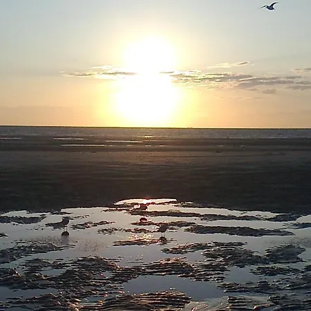 Entre Plage Et Foret Plage *