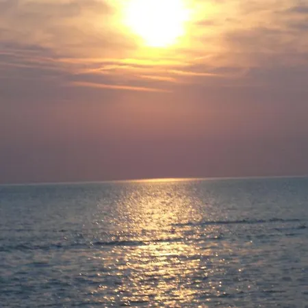 Entre Plage Et Foret Plage * Hardelot-Plage